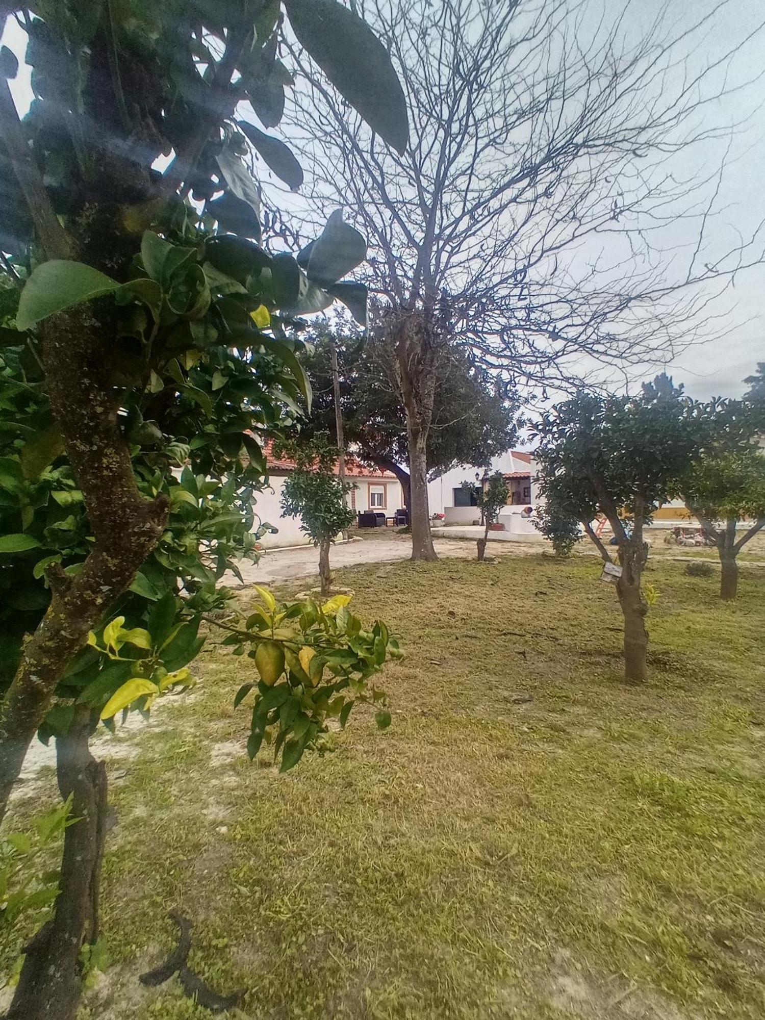 O Mundo Da Lua Villa Azeitao Exterior photo